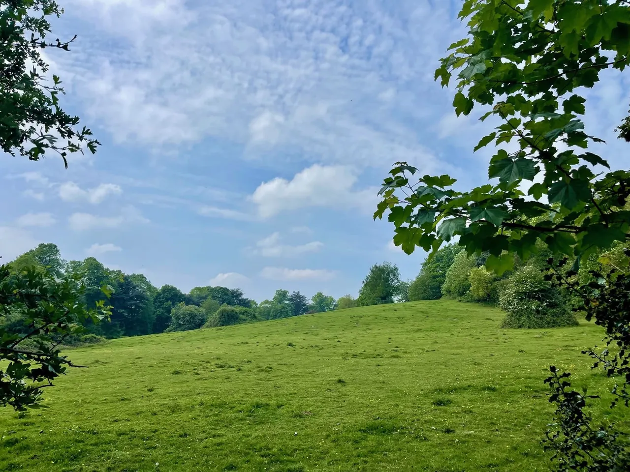 Bestwood Country Park