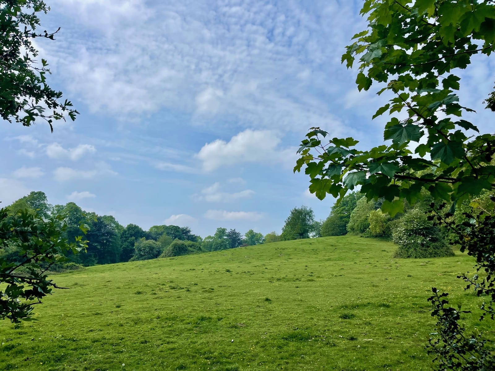 Bestwood Country Park