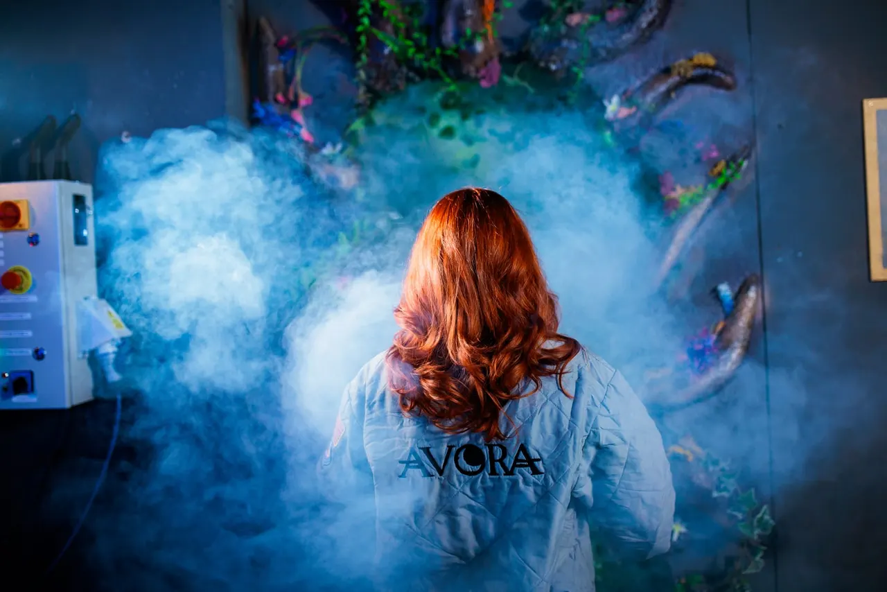 Immersive & Touring Exhibitions in Bromley
