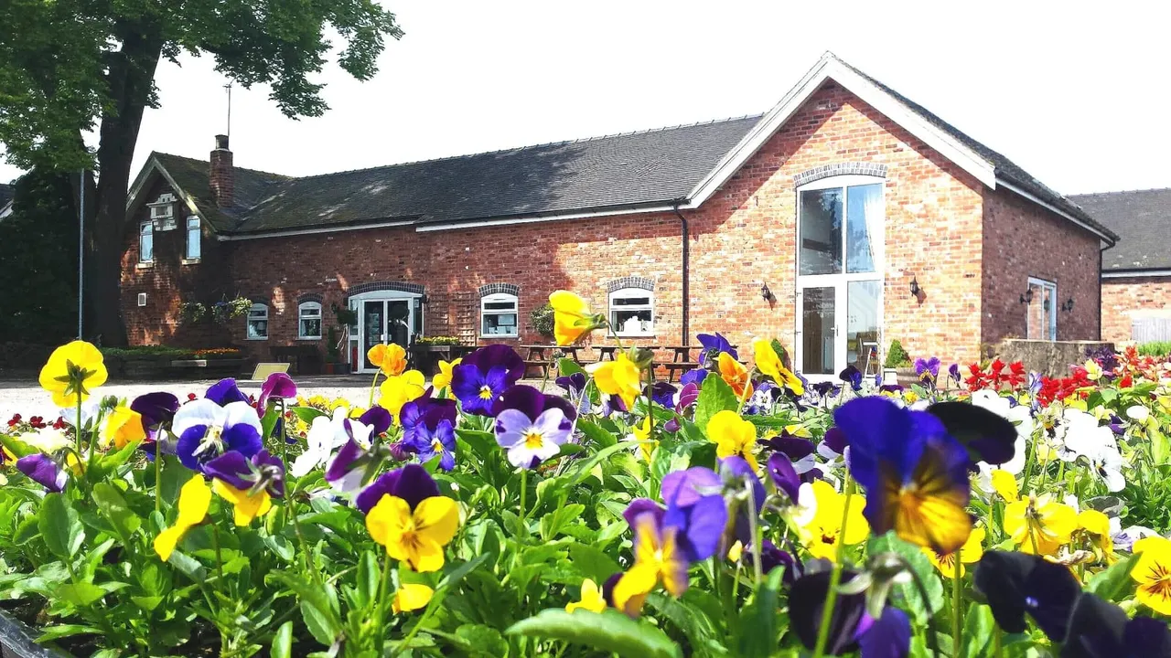 Colourful pansies and other flowering plants in garden beds in front of a brick leisure venue building.