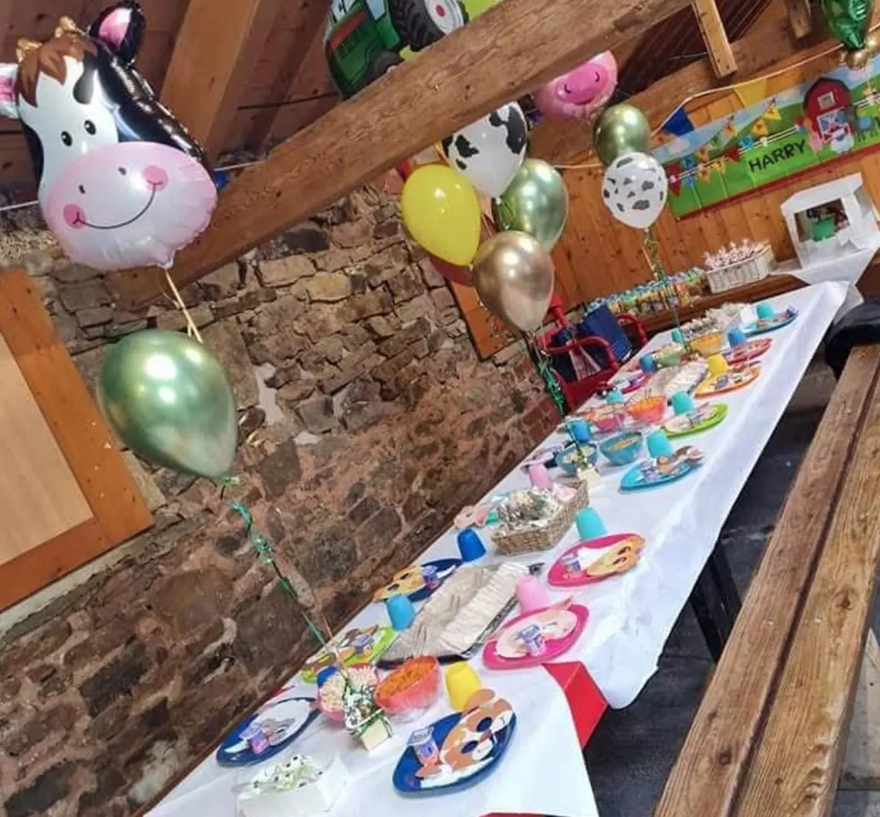 Children's party table set with themed plates, cups and decorations beside a stone wall, with animal-shaped balloons hanging above.