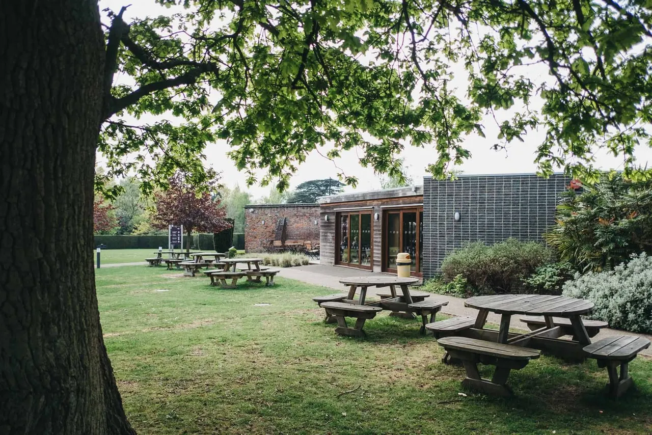 Outdoor seating area with picnic tables scattered across a grassy lawn beneath mature trees, with modern brick buildings in the background.
