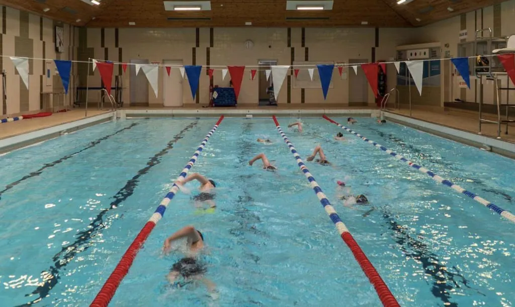 Multiple swimmers racing in different lanes of an indoor swimming pool with red, white and blue bunting overhead.