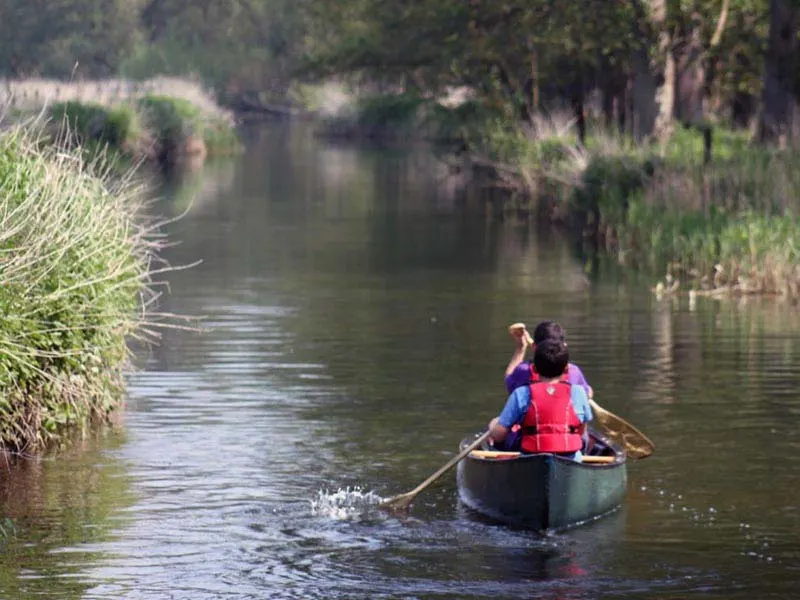Person paddling a canoe along a tree-lined river channel with reeds.