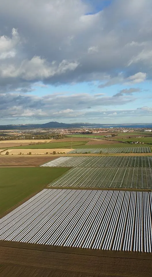 Aerial view of agricultural fields with polytunnels and greenhouses, surrounding countryside, distant town and mountains under partly cloudy sky.