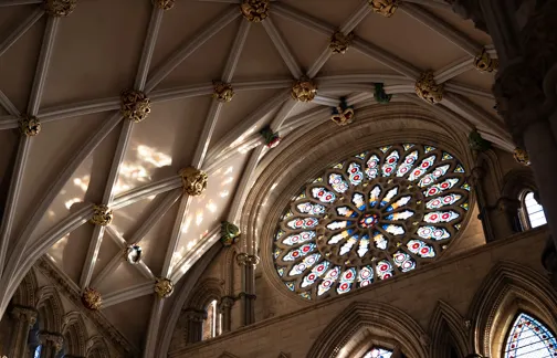 Gothic cathedral ceiling with ornate vaulted ribbing and a large circular stained-glass rose window.