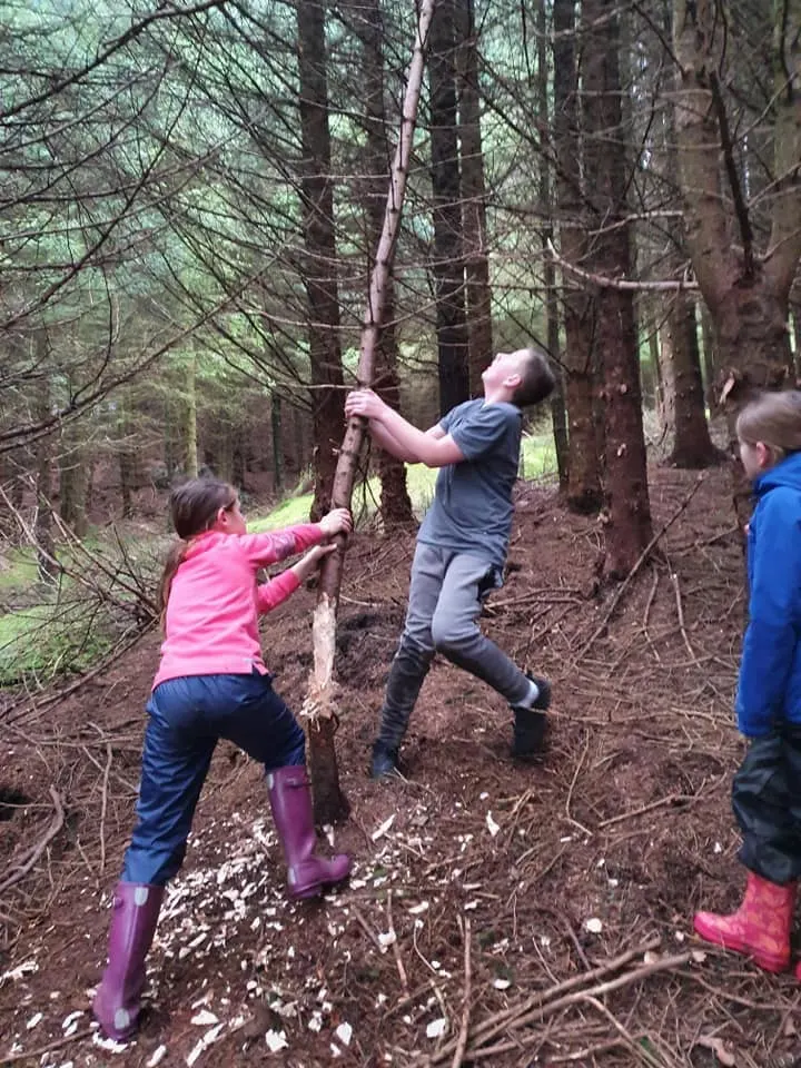 Children climbing a wooden pole in a woodland setting among tall trees.