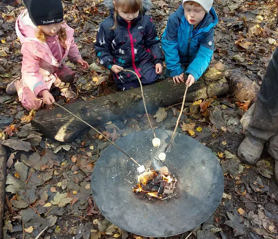Three young children roasting marshmallows over a campfire in a metal bowl surrounded by autumn leaves.