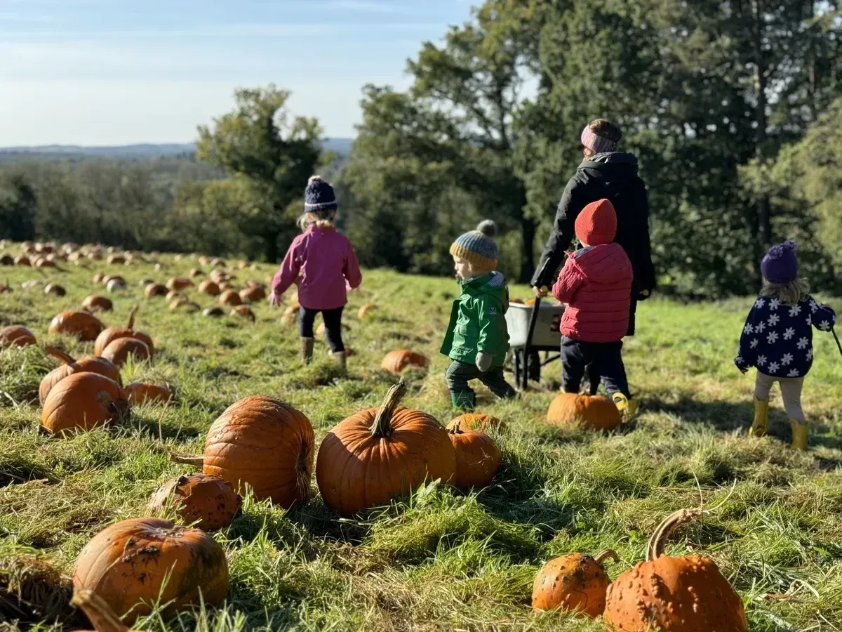 Family and children picking pumpkins in a field with trees and countryside views.