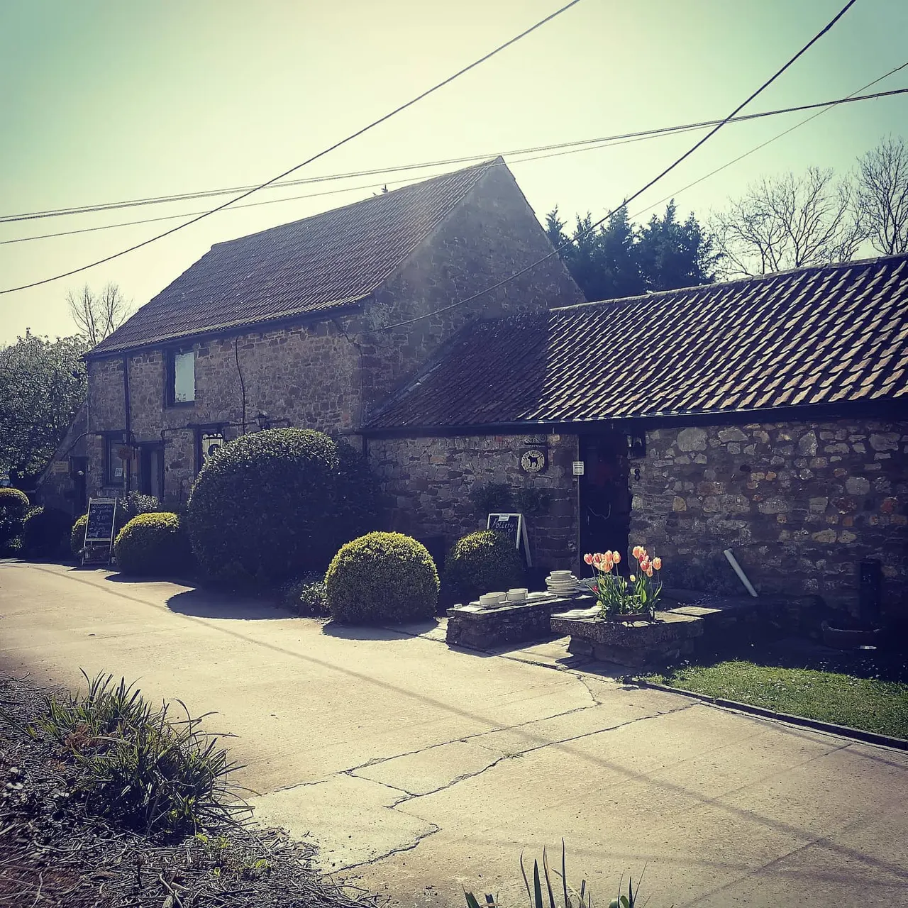 Stone buildings with slate roofs surrounded by topiary bushes and flowering plants at an entrance courtyard.