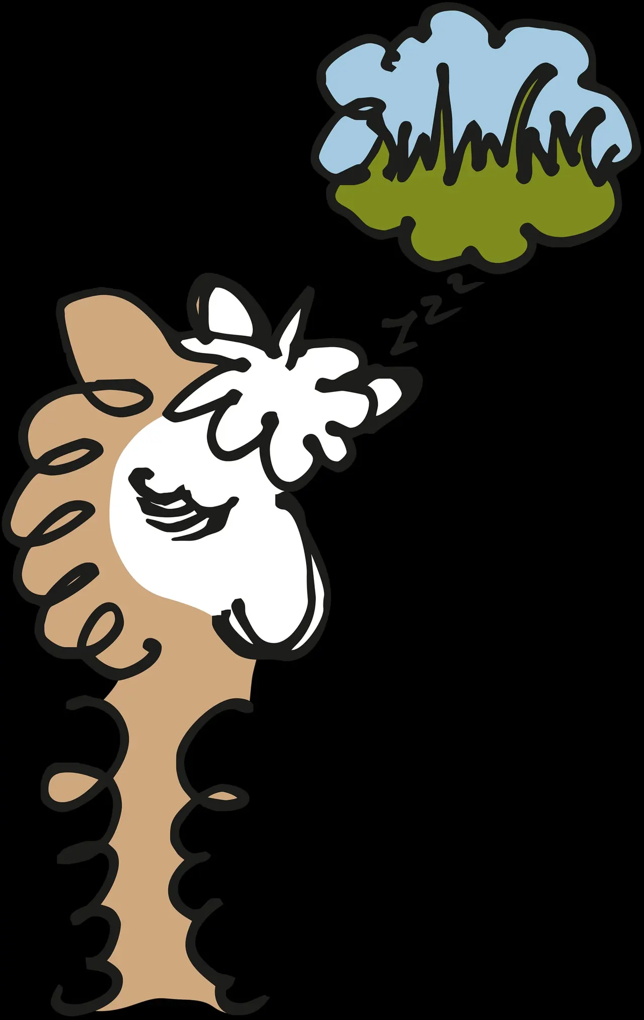 Barnacre Alpacas (Debbie & Paul Rippon)