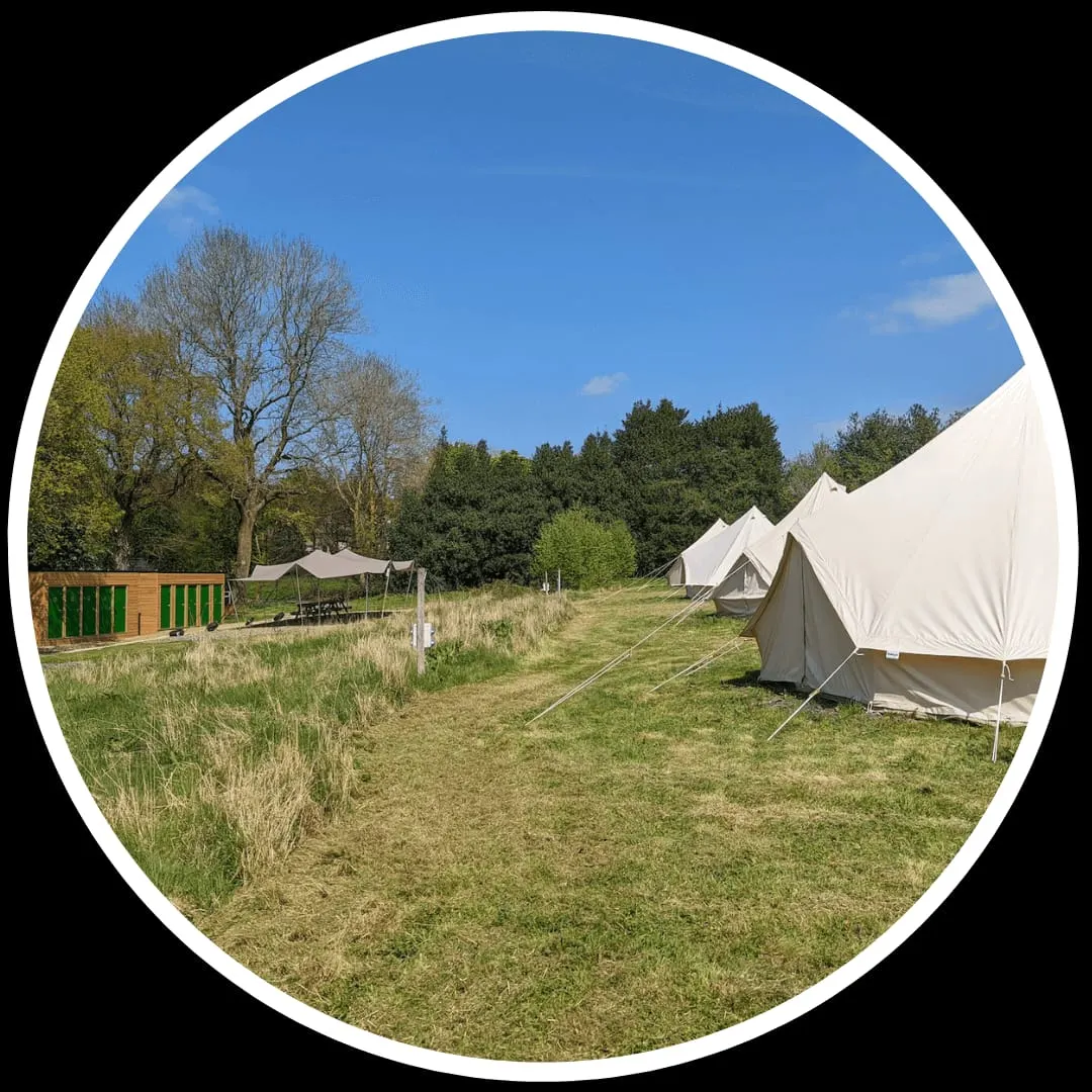 Glamping site with canvas bell tents and wooden structures set in a grassy field surrounded by trees on a sunny day.