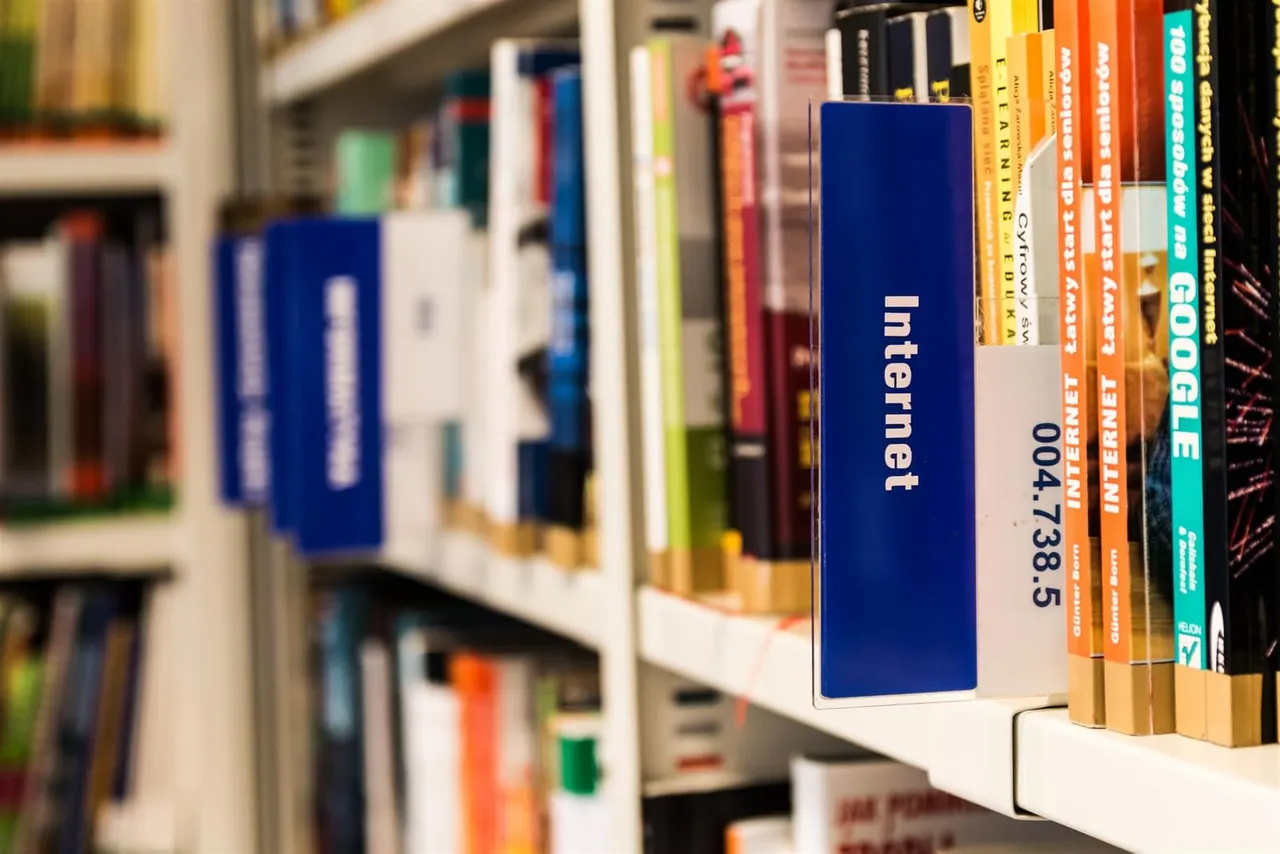 Colourful books arranged on library shelves, with a blue book labelled "Internet" prominently displayed among titles in various colours.