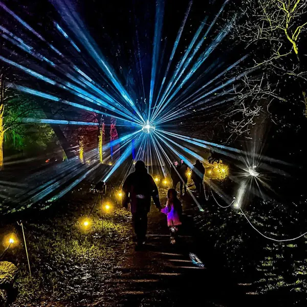 Visitors walk through an outdoor woodland path illuminated by dramatic blue laser light beams radiating overhead at night.