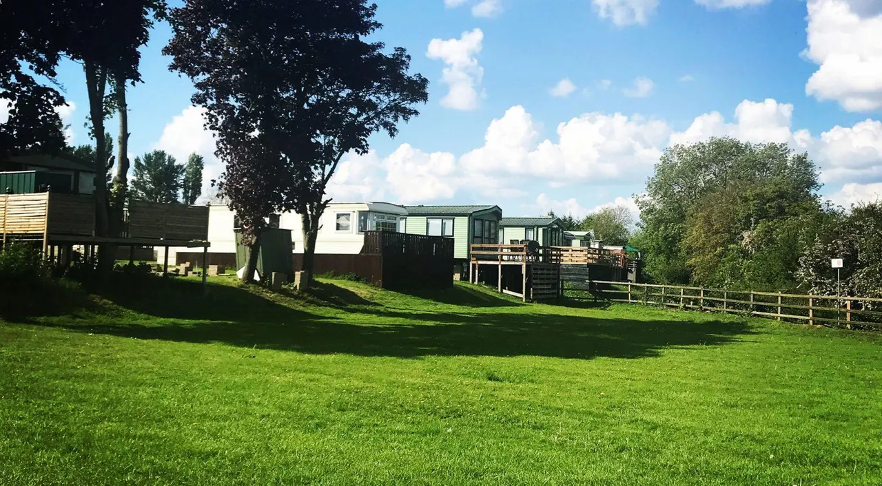 Row of static caravans and holiday lodges set on a grassy field with mature trees on a sunny day.