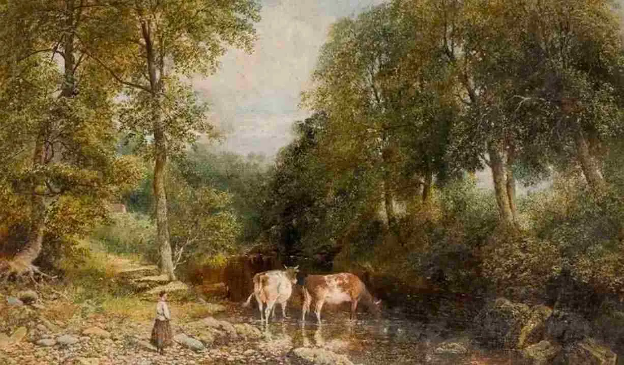 Two deer drinking from a shallow stream in a wooded valley with tall trees.