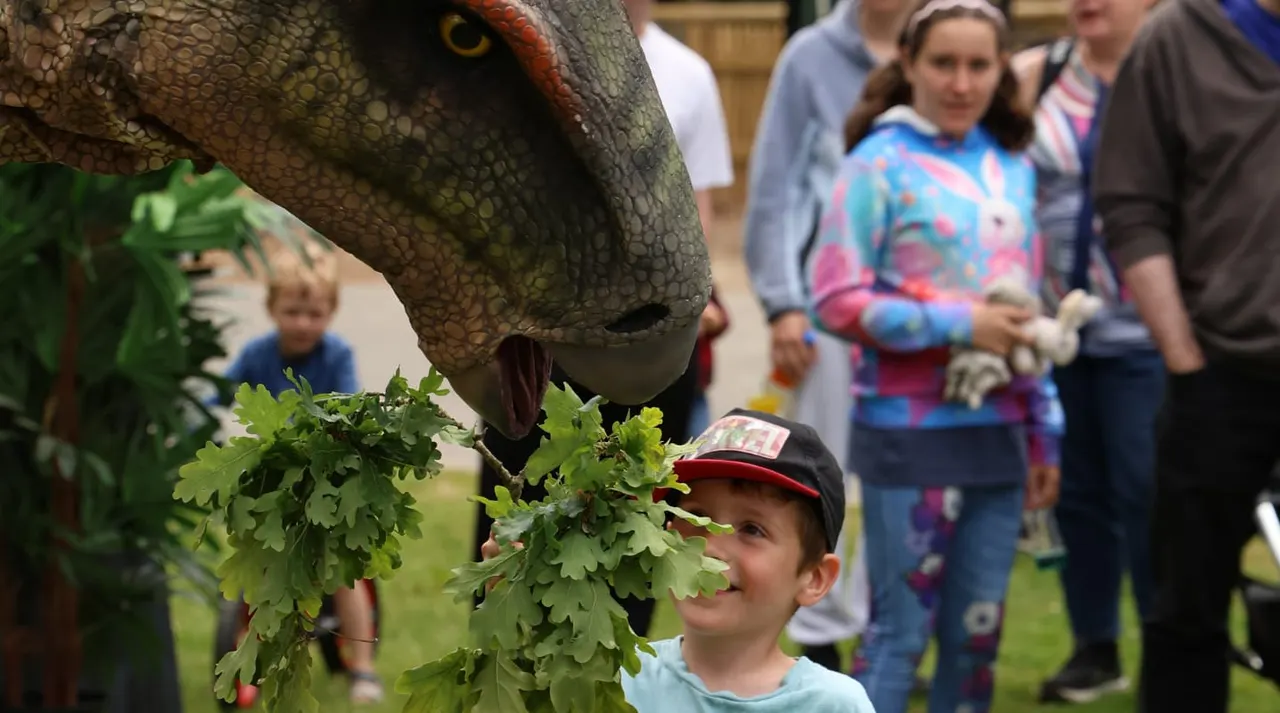 A young boy watches a dinosaur model eat foliage whilst other children and adults gather nearby.