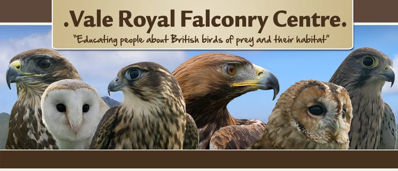 Vale Royal Falconry Centre