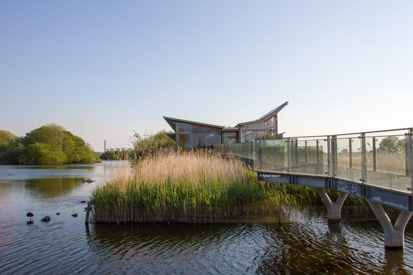 Dukes Wood Nature Reserve