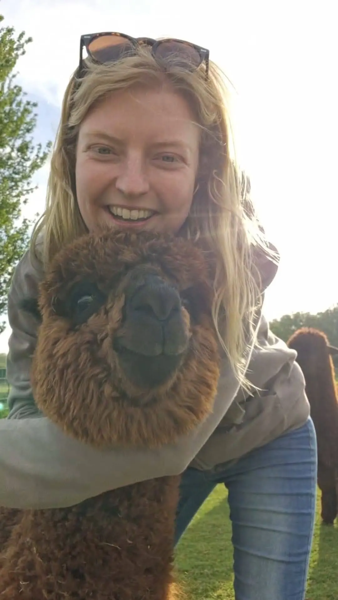 A smiling woman holding a brown alpaca outdoors on a grassy field.