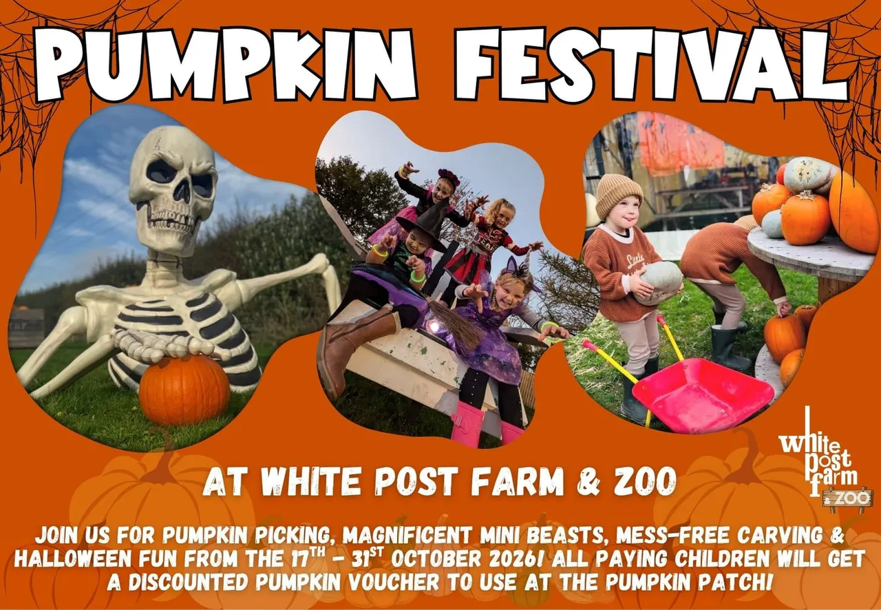 White Post Farm Pumpkin Festival field with pumpkins