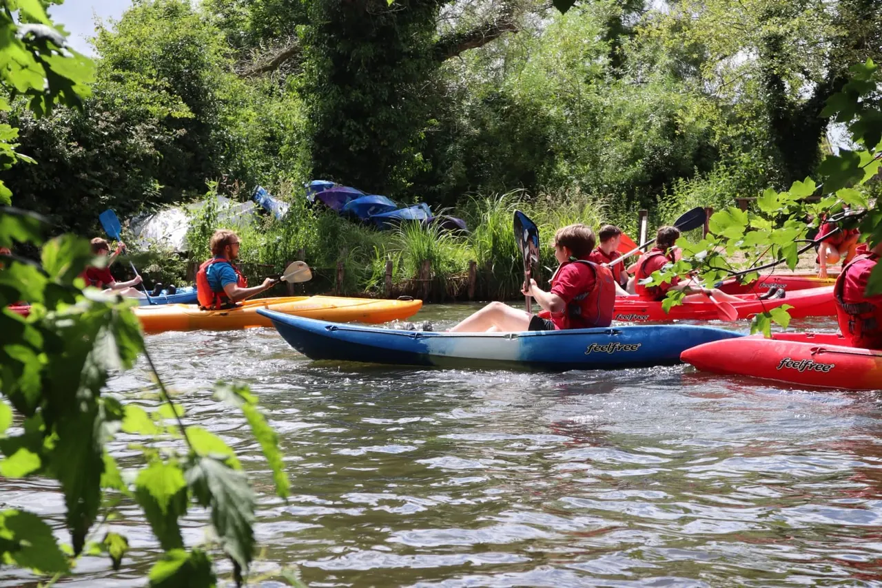 Groups of people kayaking on a river lined with trees and green vegetation.