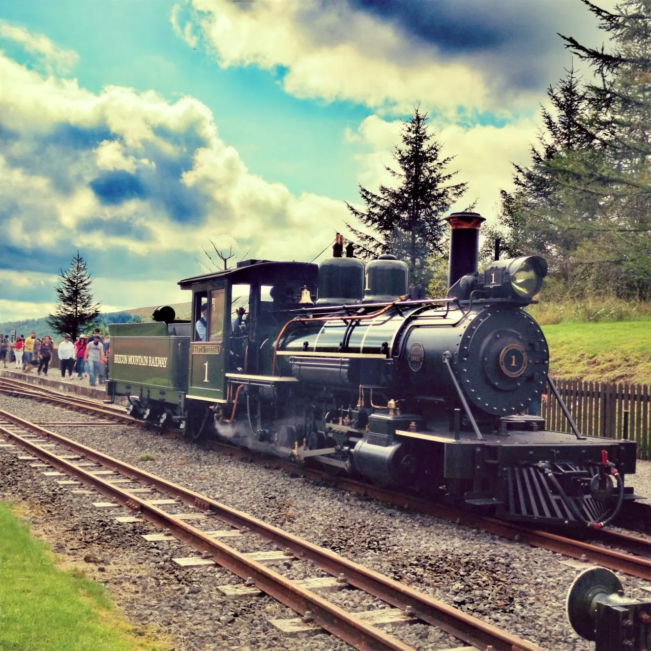Steam locomotive with passenger carriage at a mountain railway station, with visitors boarding alongside coniferous trees and cloudy sky.