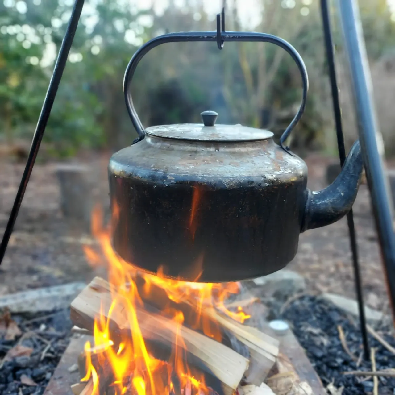 A blackened kettle suspended over a campfire on a metal tripod, with flames beneath it and woodland visible in the background.