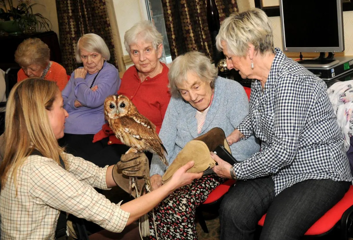 A handler presents a tawny owl to a group of older adults gathered indoors for a close encounter with the bird.