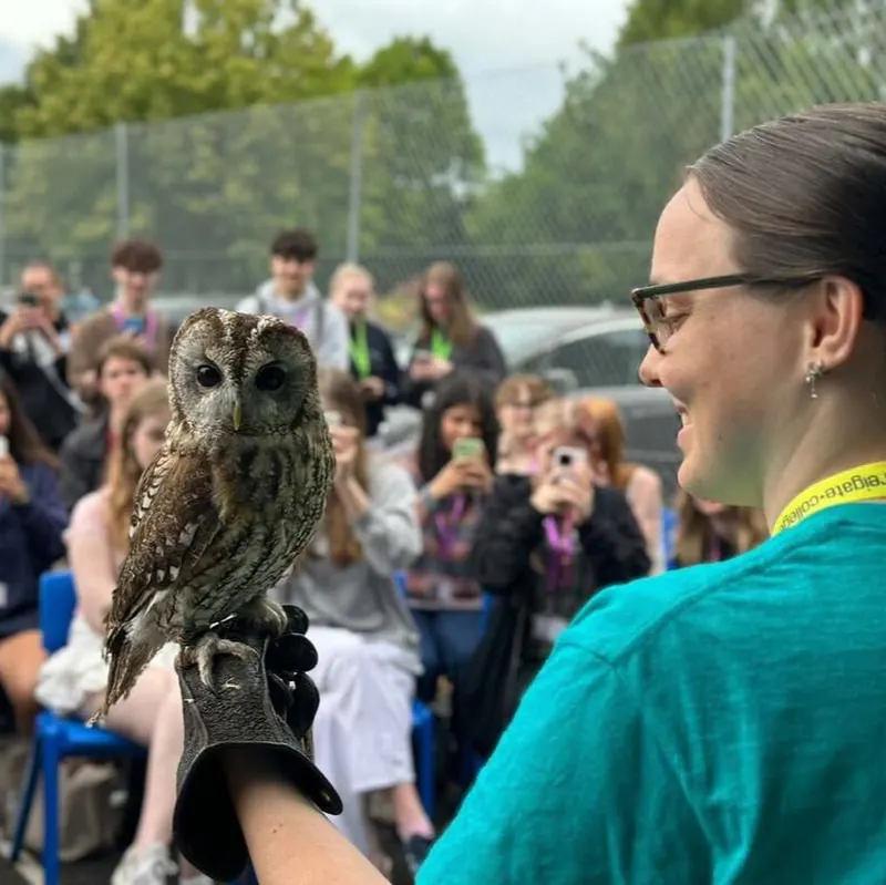 A falconer holds a tawny owl on her gloved hand whilst addressing a group of visitors during an outdoor educational demonstration.
