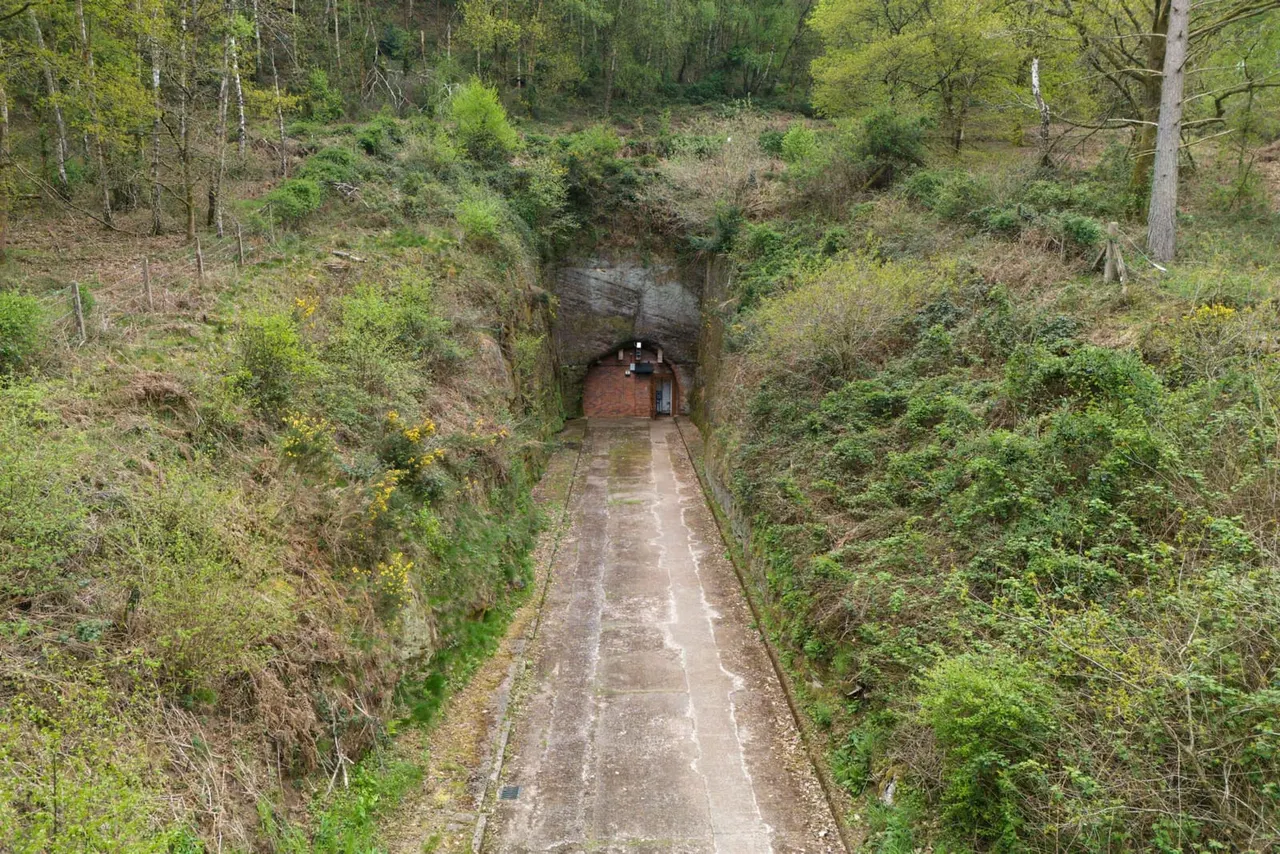 A long straight path through a deep overgrown cutting leads to a brick tunnel entrance built into a wooded hillside.