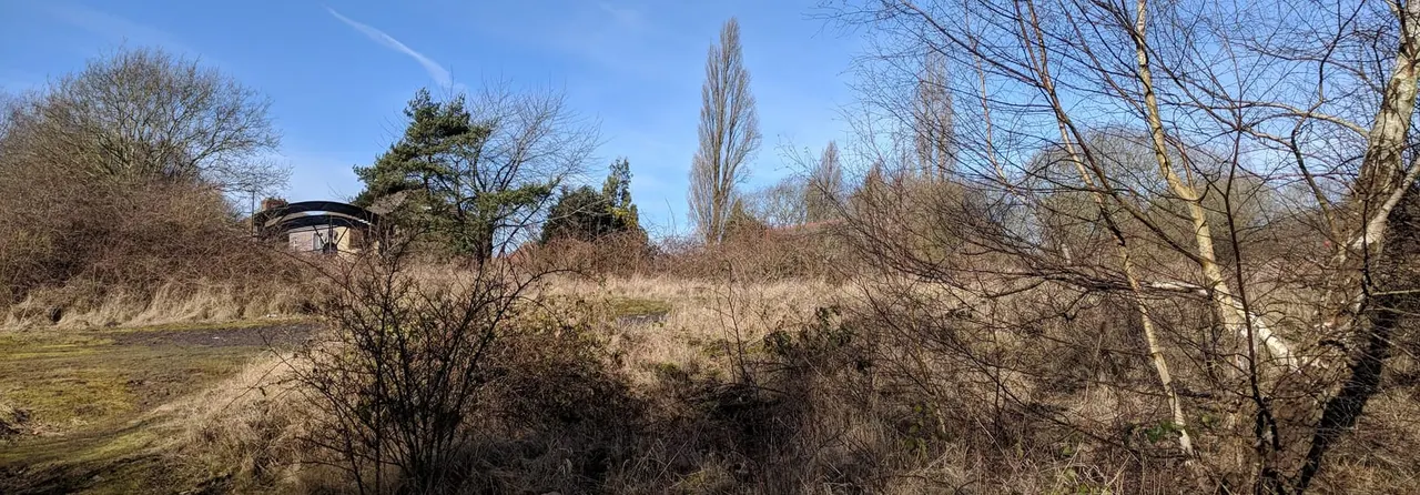 Woodland scene with bare trees and shrubs in early spring, a small shelter structure visible on the left, and clear blue sky above.