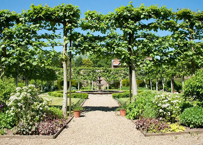 Formal garden with vine-covered pergola leading along gravel path towards hall building.