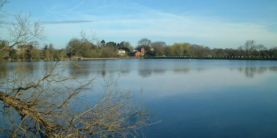 Calm lake with bare-branched trees in foreground, wooded shoreline and buildings visible across the water under blue sky.
