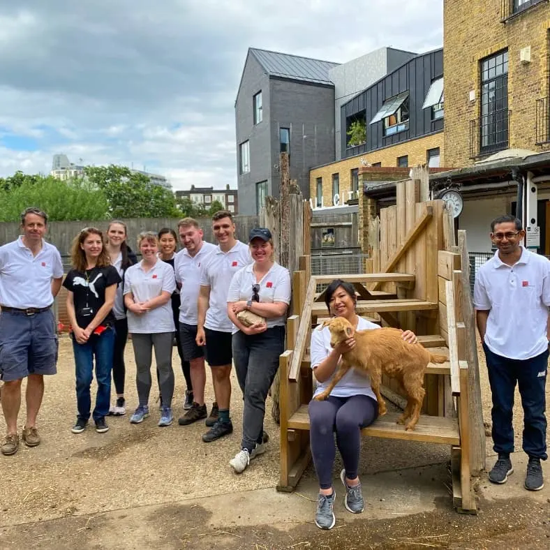 A group of volunteers in matching white polo shirts stand in a farmyard as a woman pets a goat on a wooden climbing structure.