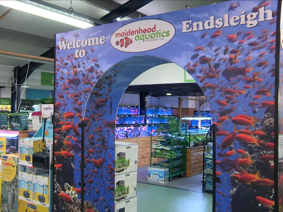 A large blue archway entrance decorated with underwater imagery and red fish, welcoming visitors to Maidenhead Aquatics inside a garden centre.