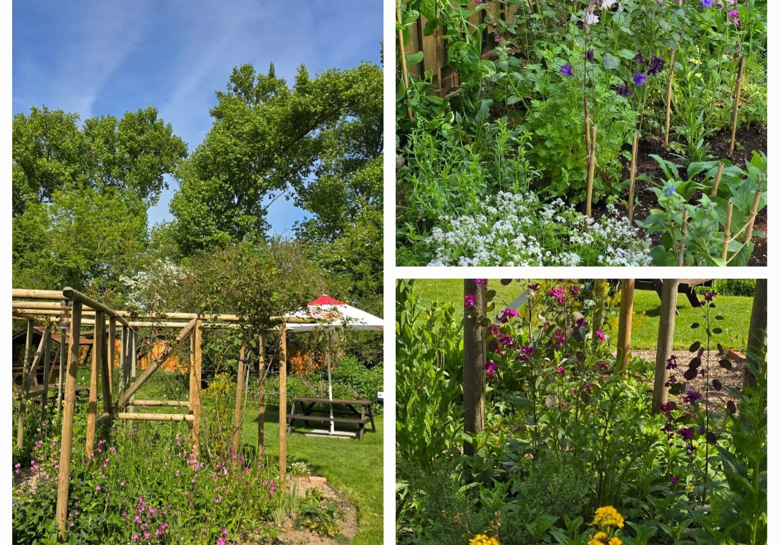 Naturescape Wildflower Farm