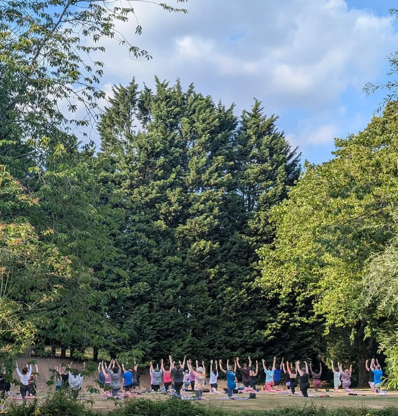 Group of people doing outdoor fitness or yoga class in a woodland clearing under tall trees on a sunny day.
