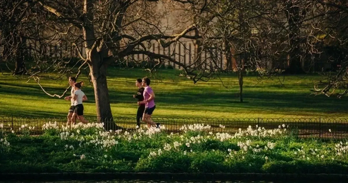 Three people jogging through a park past white flowering plants and bare trees in spring sunshine.