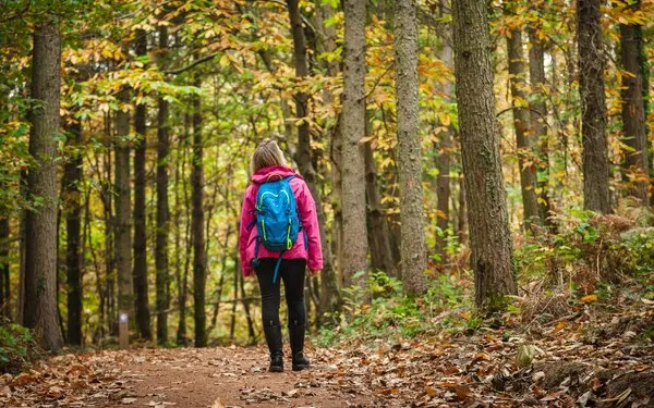 Hiker in bright pink jacket and blue backpack walking along a woodland path lined with tall trees in autumn.