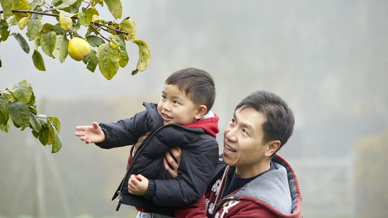 Adult holding young child reaching towards apple on tree branch outdoors.