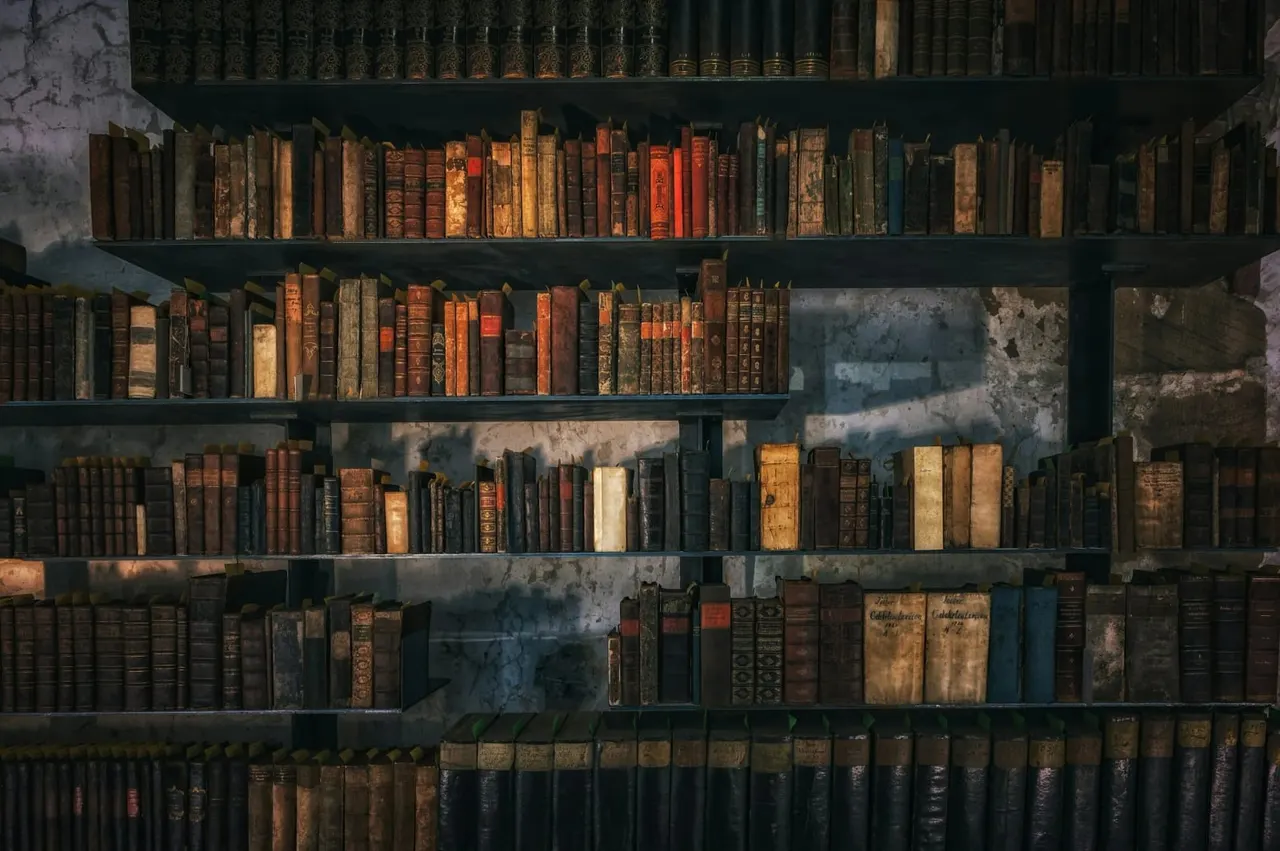 Shelves displaying a collection of antique and vintage books with aged leather bindings in various colours.