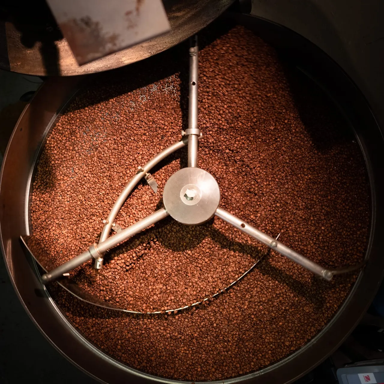 Roasted coffee beans in a large drum roaster with metal stirring paddles during the roasting process.