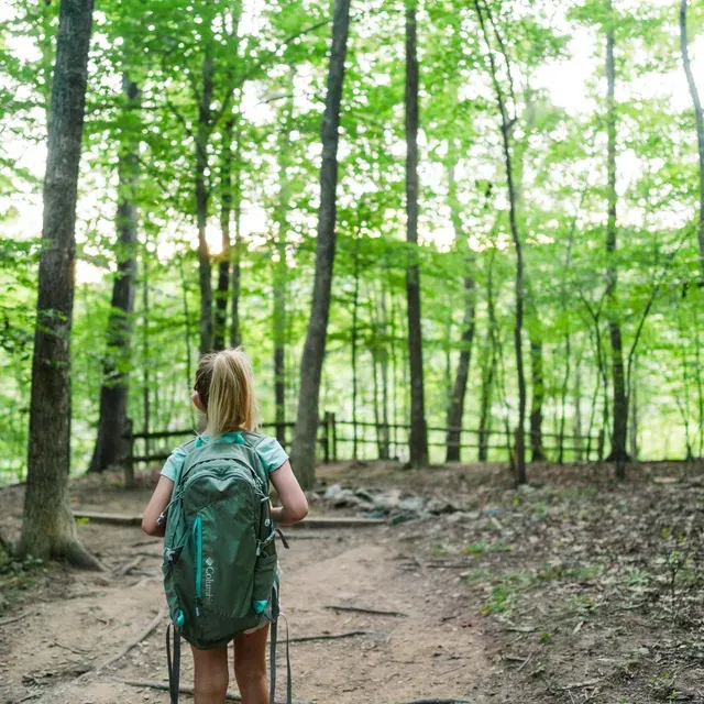 Child with backpack hiking on woodland trail through tall trees.