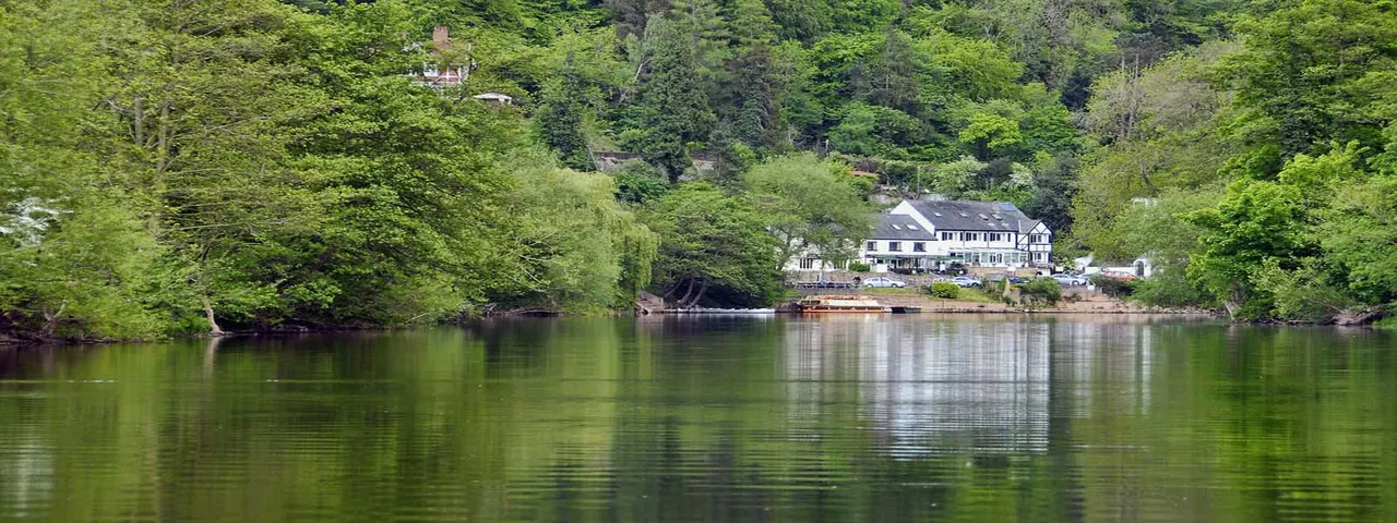 Riverside house nestled among dense green trees on the banks of a calm river.