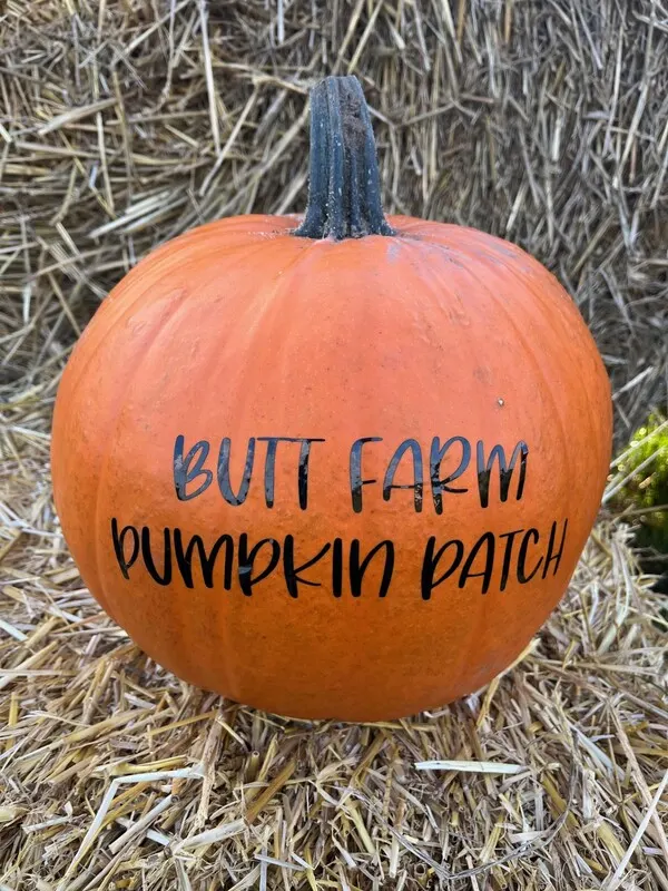 Orange pumpkin with black stem resting on straw, labelled "Butt Farm Pumpkin Patch".
