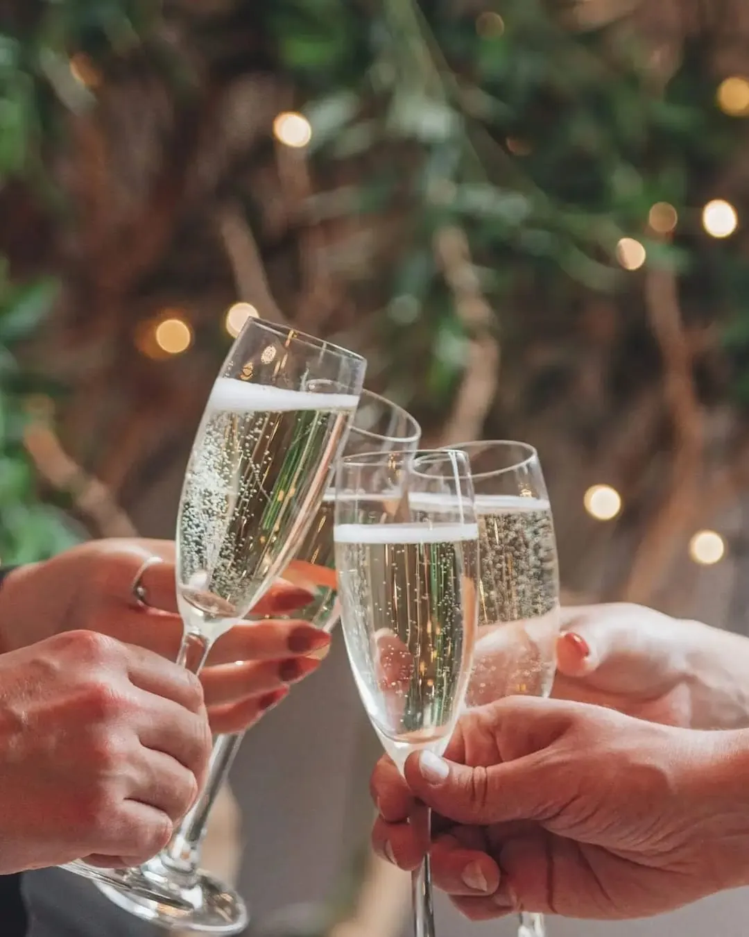 Three people clinking glasses of sparkling wine outdoors with festive string lights and foliage in the background.