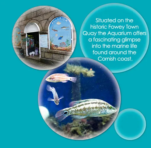 Fowey Aquarium