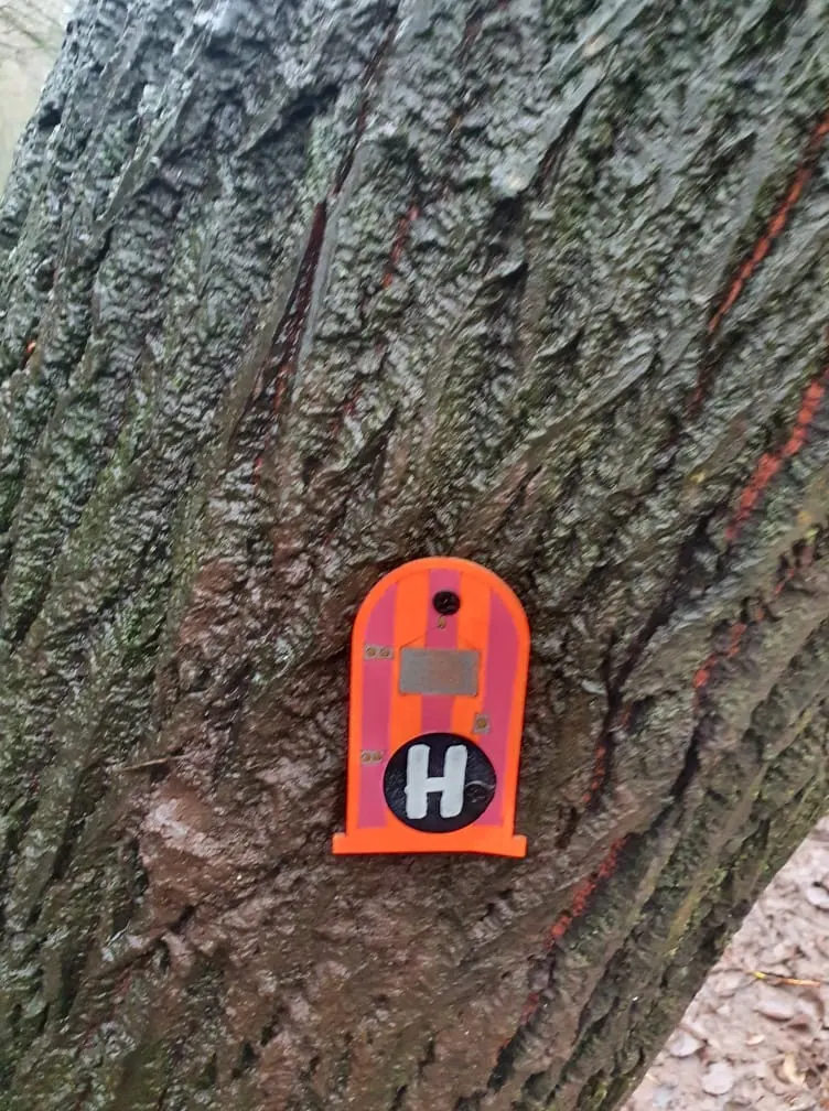 Bright orange bird box mounted on textured tree bark covered with lichen and moss.