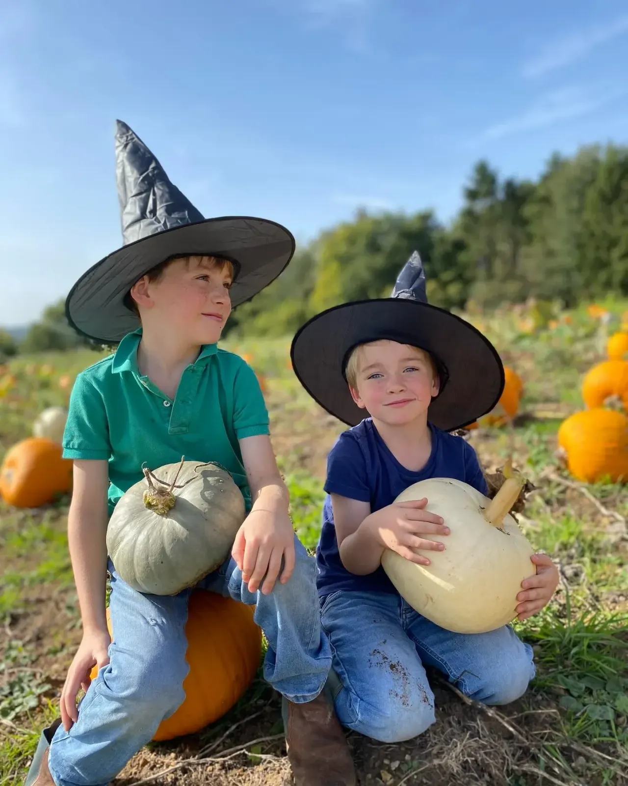 Two children wearing witch hats hold pale gourds in a pumpkin patch on a sunny day.